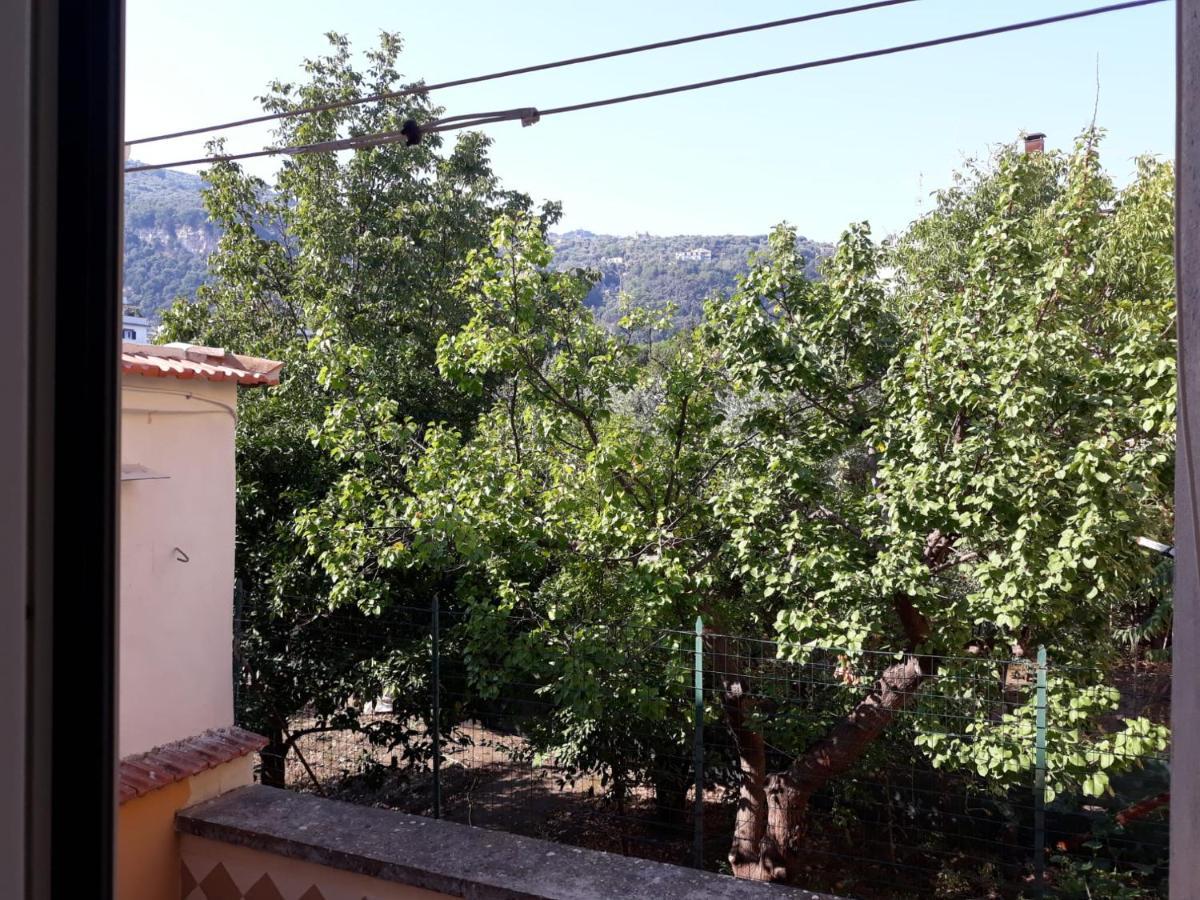 Apartamento Rita Flat Península Sorrentina Exterior foto